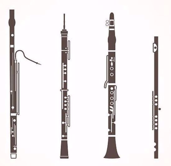 Picture of W4100 - Woodwind Duets