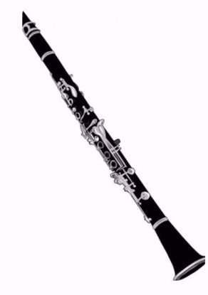 Picture of W2100 - Clarinet - Pop/Jazz